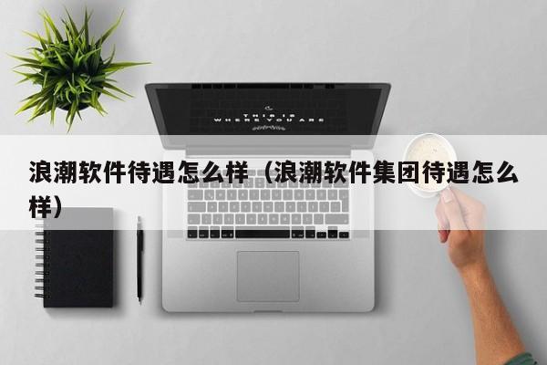 浪潮软件待遇怎么样（浪潮软件集团待遇怎么样）