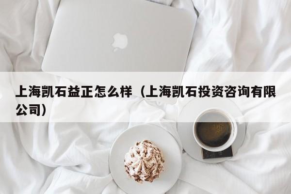 上海凯石益正怎么样（上海凯石投资咨询有限公司）