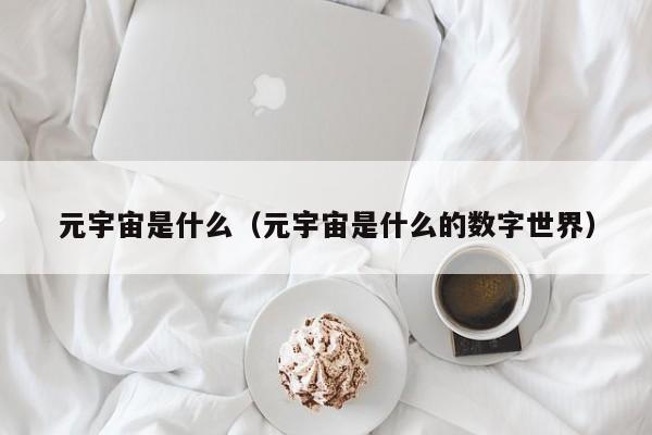 元宇宙是什么（元宇宙是什么的数字世界）