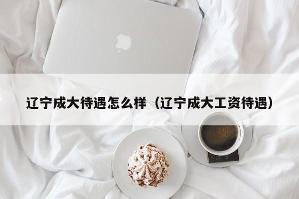 辽宁成大待遇怎么样（辽宁成大工资待遇）