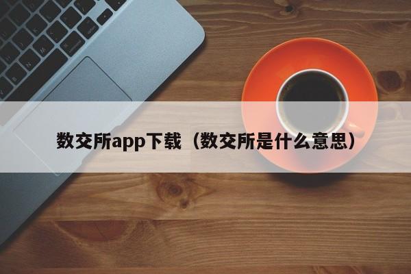 数交所app下载（数交所是什么意思）