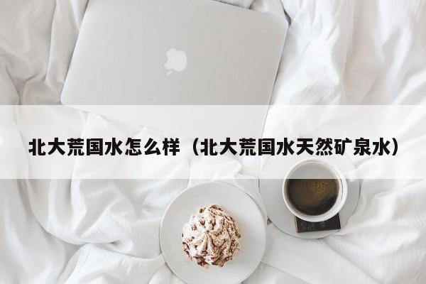 北大荒国水怎么样（北大荒国水天然矿泉水）