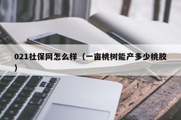 021社保网怎么样（一亩桃树能产多少桃胶）