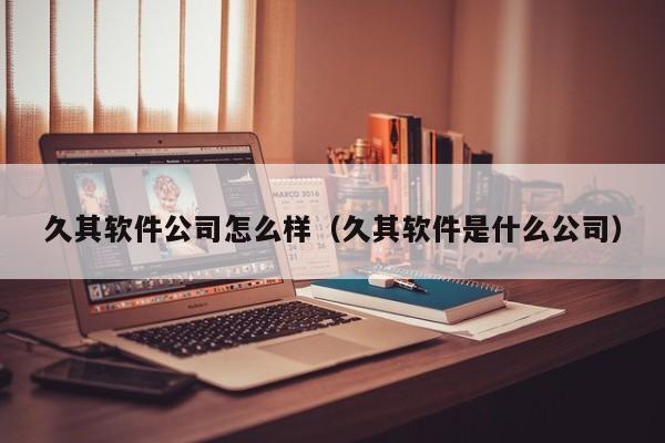 久其软件公司怎么样（久其软件是什么公司）