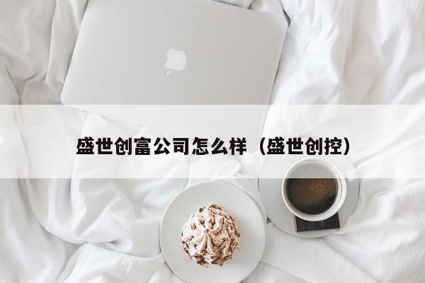 盛世创富公司怎么样（盛世创控）