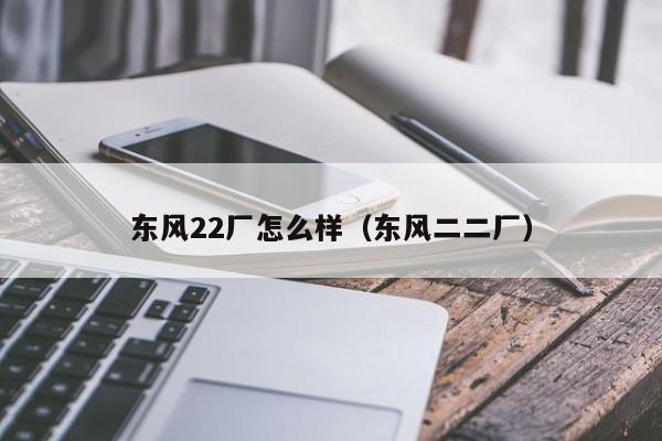 东风22厂怎么样（东风二二厂）