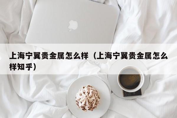 上海宁翼贵金属怎么样（上海宁翼贵金属怎么样知乎）