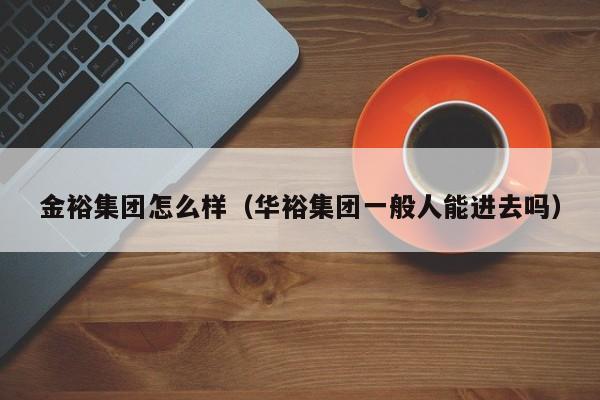 金裕集团怎么样（华裕集团一般人能进去吗）