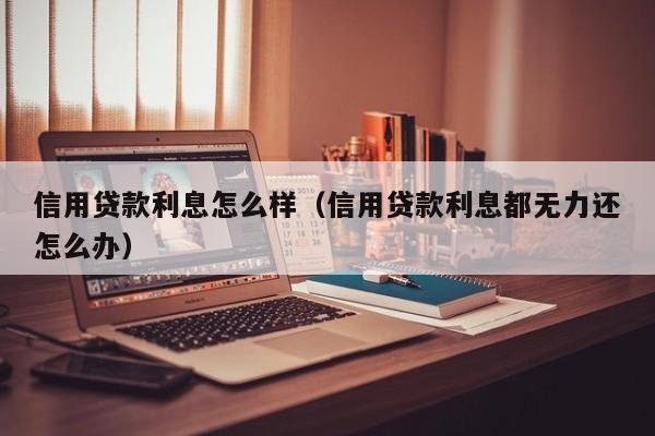 信用贷款利息怎么样（信用贷款利息都无力还怎么办）